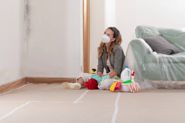 Reliable Mold Remediation contractor in East Renton Highlands, WA by 24 Hour Mold Removal